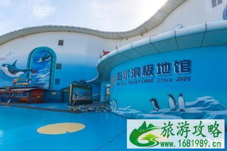 2022哈尔滨极地馆年票价格+交通+游玩项目