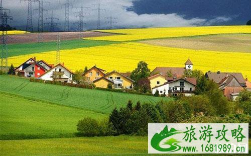 出国旅游交通安全方面需要注意哪些 出国旅游交通安全方面需要注意哪些