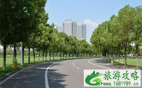 武汉交通违章怎么用支付宝交罚款 武汉交通违章怎么用支付宝交罚款