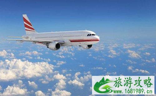 黄石公园到旧金山有没有直达的飞机