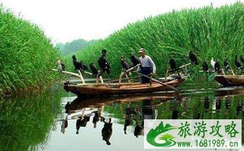 保定周边一日游攻略好玩的地方推荐 保定周边一日游攻略好玩的地方推荐