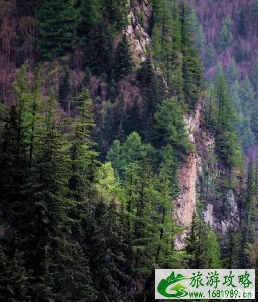 保定周边一日游攻略好玩的地方推荐 保定周边一日游攻略好玩的地方推荐