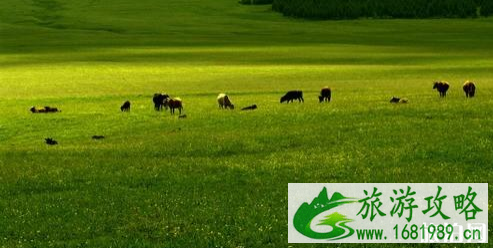 保定周边一日游攻略好玩的地方推荐 保定周边一日游攻略好玩的地方推荐