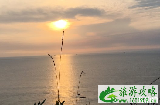 上海怎么去花鸟岛 上海去花鸟岛路线 上海怎么去花鸟岛 上海去花鸟岛路线