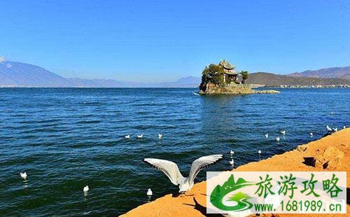 从丽江怎么去洱海最方便 丽江到洱海路线 从丽江怎么去洱海最方便 丽江到洱海路线