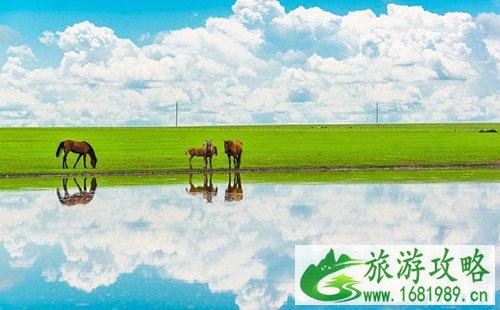 上海到呼伦贝尔有高铁吗 上海到呼伦贝尔怎么去 上海到呼伦贝尔有高铁吗 上海到呼伦贝尔怎么去