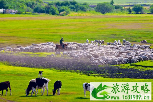 上海到呼伦贝尔有高铁吗 上海到呼伦贝尔怎么去 上海到呼伦贝尔有高铁吗 上海到呼伦贝尔怎么去