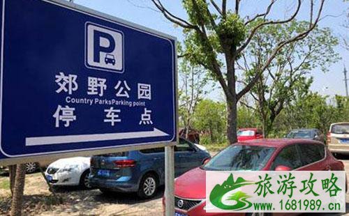 上海广富林遗址公园怎么去+交通攻略2022