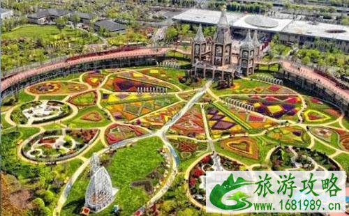 上海奇迹花展怎么去2022+交通攻略