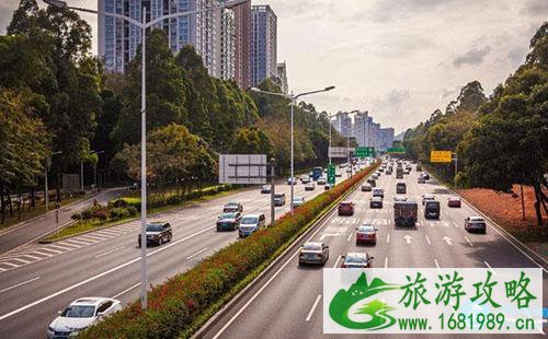 2022深圳清明节扫墓出行攻略 2022深圳清明节扫墓出行攻略