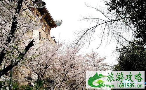 2022武汉大学校内公交怎么坐 武大校车路线/时刻表 2022武汉大学校内公交怎么坐 武大校车路线/时刻表