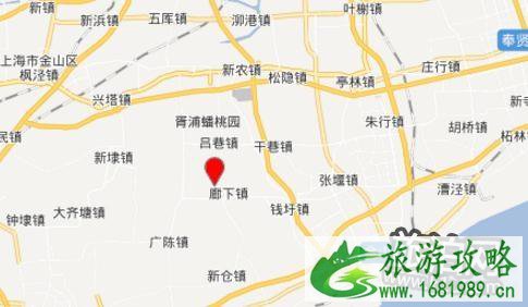 上海怎么去枫泾古镇 枫泾古镇怎么去