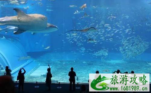 厦门海底世界怎么去 厦门海底世界在哪里