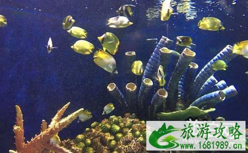厦门海底世界怎么去 厦门海底世界在哪里