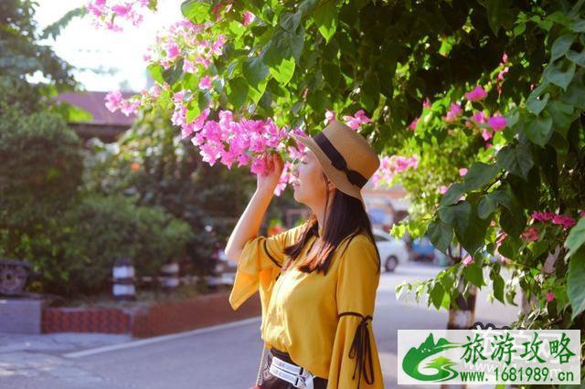 厦门地铁1号线站点+线路图+时间表