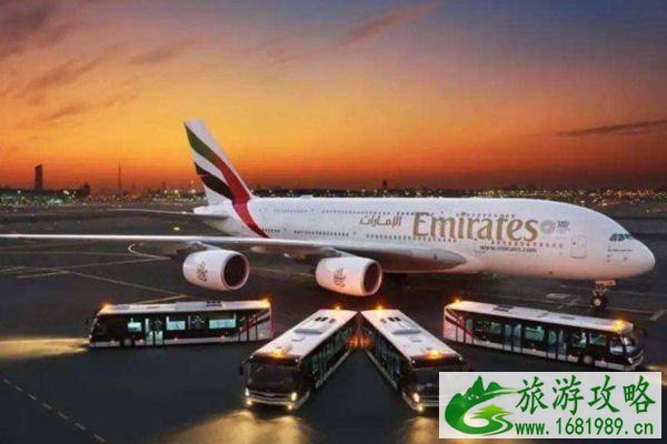 阿联酋回国最新政策及航班最新消息2021