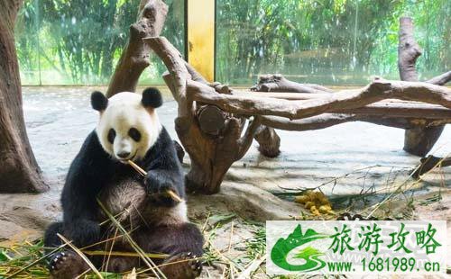 去长隆野生动物园怎么走 长隆野生动物园怎么去 去长隆野生动物园怎么走 长隆野生动物园怎么去