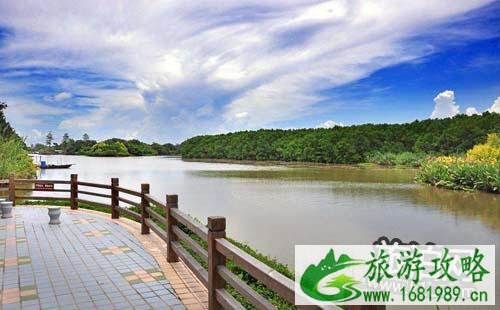 南沙湿地公园怎么去 广州怎么去南沙湿地公园