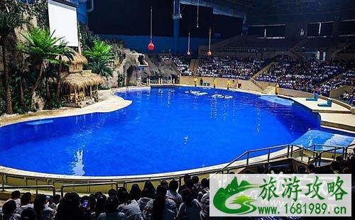 去北京海洋馆怎么走 北京海洋馆怎么坐地铁 去北京海洋馆怎么走 北京海洋馆怎么坐地铁