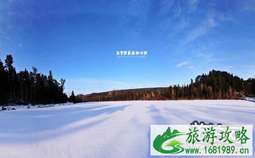 伊春到五营森林公园怎么走 五营森林公园在哪 伊春到五营森林公园怎么走 五营森林公园在哪