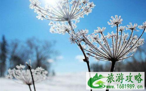 雪乡自驾游攻略 哈尔滨到雪乡自驾怎么去 雪乡自驾游攻略 哈尔滨到雪乡自驾怎么去