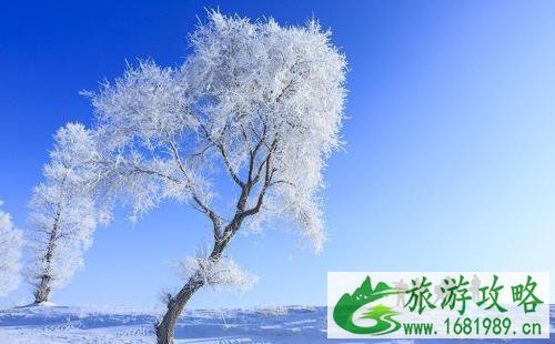 吉林雾凇岛怎么去 雾凇岛旅游交通攻略2022 吉林雾凇岛怎么去 雾凇岛旅游交通攻略2022