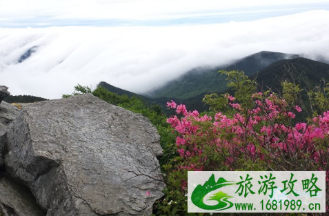 庐山五老峰怎么去 庐山五老峰图片 庐山五老峰怎么去 庐山五老峰图片