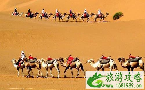 从中卫火车站到沙坡头怎么坐车 价钱多少钱 从中卫火车站到沙坡头怎么坐车 价钱多少钱