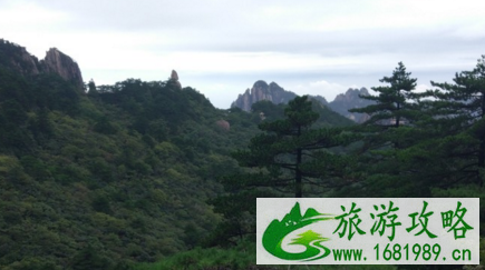 去黄山到哪个火车站下 黄山旅游交通攻略 去黄山到哪个火车站下 黄山旅游交通攻略