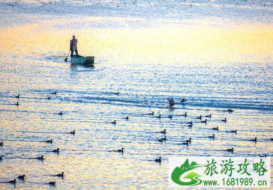 拉市海怎么走 拉市海旅游交通攻略 拉市海怎么走 拉市海旅游交通攻略
