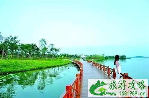 武汉华中有轨电车线路图 武汉华中有轨电车什么时候开通 武汉华中有轨电车线路图 武汉华中有轨电车什么时候开通