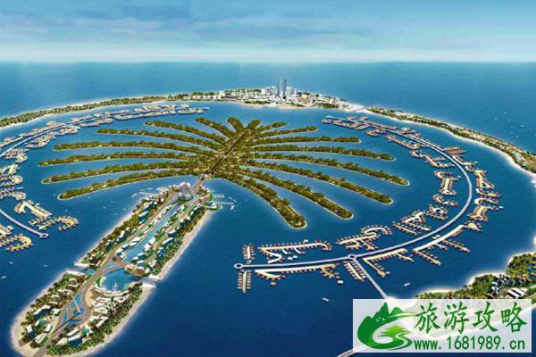 迪拜回国航班最新消息2021年11月 