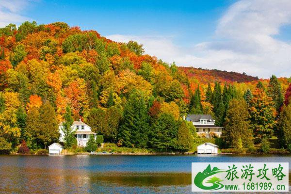加拿大入境入境政策最新消息10月