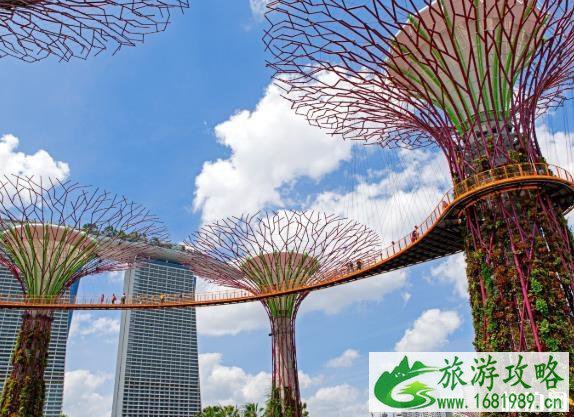 新加坡入境最新消息和规定政策2020年7月 新加坡入境最新消息和规定政策2020年7月