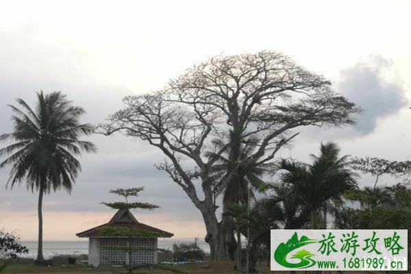 印度尼西亚疫情禁止中国人入境 附具体限制内容 印度尼西亚疫情禁止中国人入境 附具体限制内容