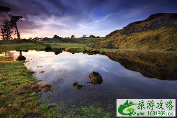 新西兰旅行入境认证ETA延期最新消息