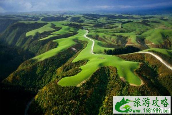 新西兰旅行入境认证ETA延期最新消息