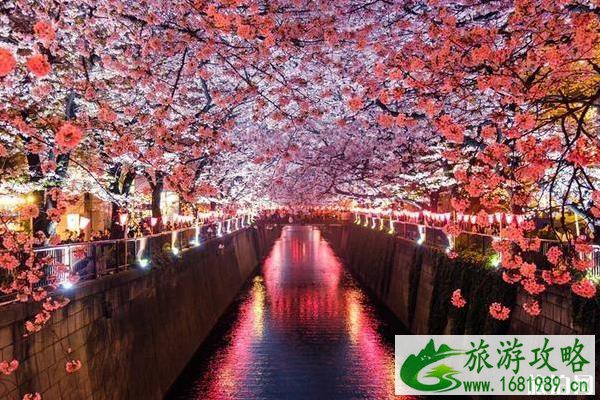 日本三年签证攻略详细版2022 日本三年签证攻略详细版2022