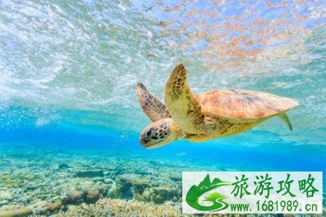 澳大利亚打工签证2022新规 澳大利亚旅游景点推荐