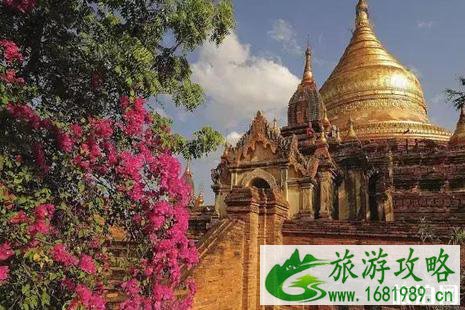 2022各国最新签证政策盘点 2022各国最新签证政策盘点