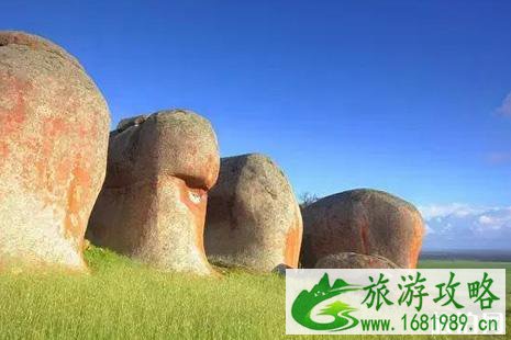 2022各国最新签证政策盘点 2022各国最新签证政策盘点