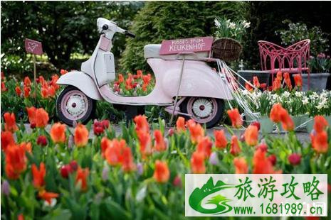 荷兰签证攻略