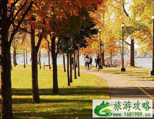 美国留学签证怎么加急预约 可以加急预约需要满足什么条件