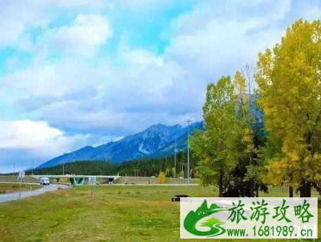 加拿大留学签证被拒了怎么办