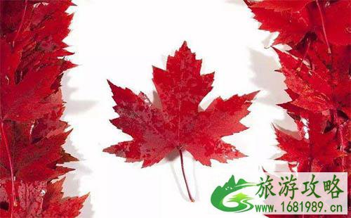加拿大超级签证的有效期是多久