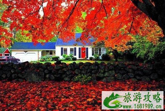 申请加拿大旅游签证需要行程单吗 加拿大旅游签证申请流程