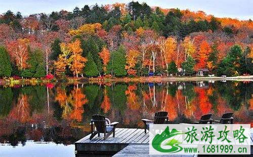 应届毕业生申请加拿大旅游签证容易签过吗 应届毕业生申请加拿大旅游签证容易签过吗