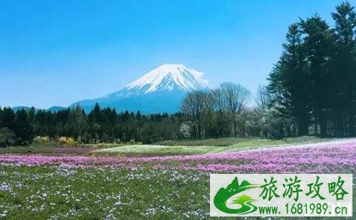 日本签证被拒签的原因+签证办理