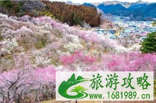中国公民赴日签证新政 中国公民赴日签证新政