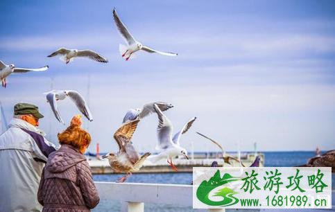 波兰签证办理有哪些类型
